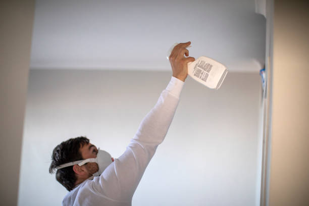 Best Best Mold Removal Companies  in Pecan Acres, TX